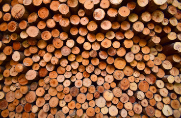 Wood texture background for interior, construction concept design.