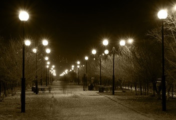 night lane with street lamps