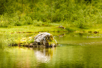 Fototapeta na wymiar Calm river in summer, Norway.