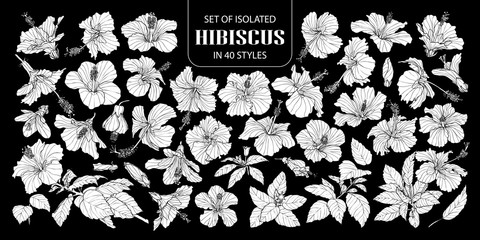 Set of isolated white silhouette hibiscus in 40 styles .Cute hand drawn flower vector illustration in white plane and no outline on black background.