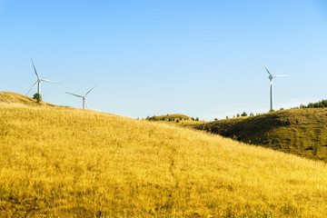 Small wind generators on a hill in the countryside.