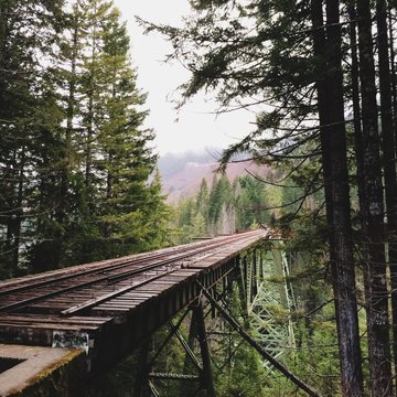 Vance Creek Bridge