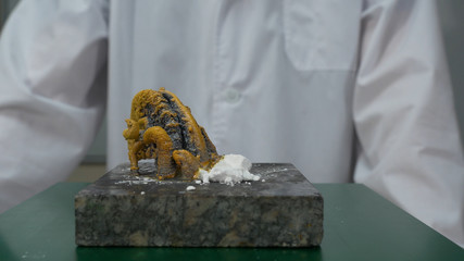 Chemist or medical research scientist adds fire to a violent chemical reaction. Chemical experience
