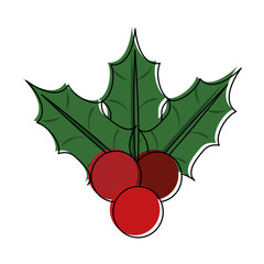 holly berries christmas related icon image vector illustration design 