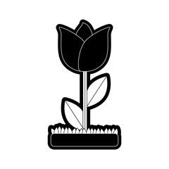 beautiful flower icon