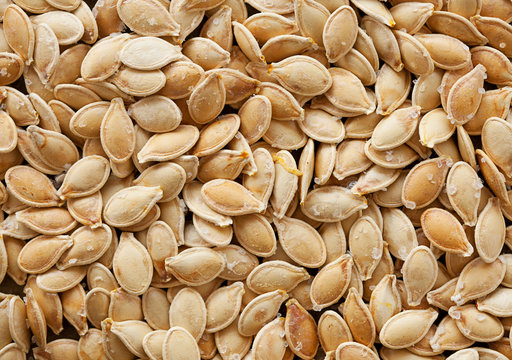 Roasted Pumpkin Seed Overhead View