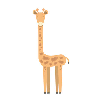 giraffe icon image