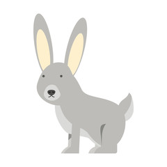 Fototapeta na wymiar cartoon rabbit icon