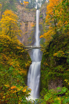 Fototapeta Multnomah Falls in Fall Season Colors
