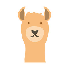 cartoon alpaca icon