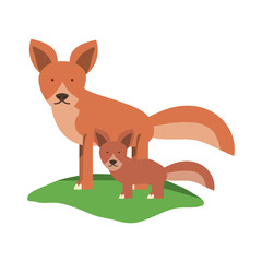 cartoon foxes icon