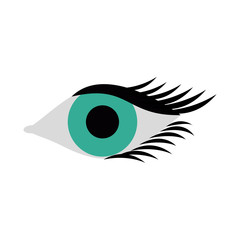 single eye with lashes icon image vector illustration design 