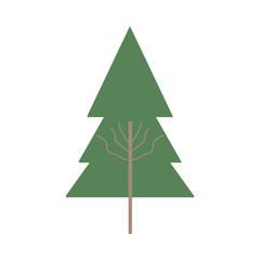 Fototapeta premium tree icon image