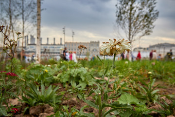 Moscow, Zaryadye Park