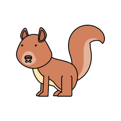 cartoon squirrel icon