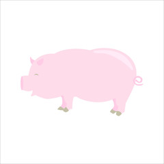 pig