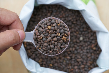 a woman farmer hand hold a spoon and dip high quality  CHINSE MORING GLORY seed from white plastic bag.