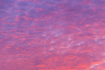 Beautiful pink sunrise sky