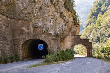 car tunnel in the mountain overgrown with green vegetation, grass and trees