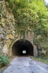car tunnel in the mountain overgrown with green vegetation, grass and trees