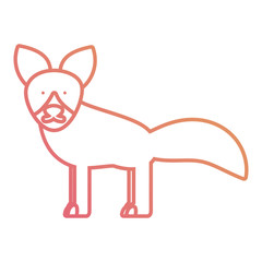 cartoon fox icon