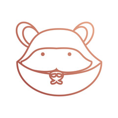 cartoon raccon icon