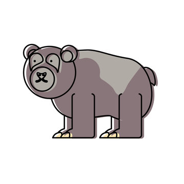 cartoon bear icon over white background vector illustration