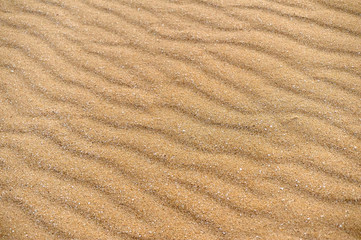 Sands on the beach. A beach is a landform along a body of water. It usually consists of loose particles, which are often composed of rock, such as sand, gravel, shingle, pebbles.
