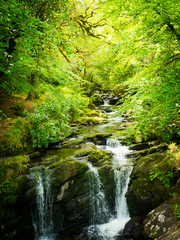 Fototapeta na wymiar Waterfalls in green Ireland