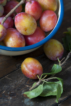 harvested plums in an enamelled container