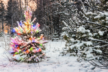 Christmas tree with garlands of lights standing on a meadow in the winter woods