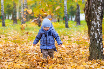 Little child boy 1 years old walks in the park on fallen colorful leaves in autumn day