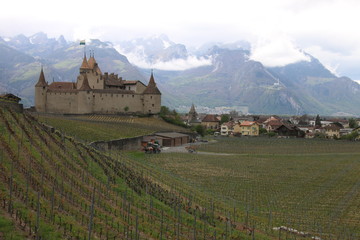 Fototapeta na wymiar Château d'Aigle. Aigle Castle. Switzerland