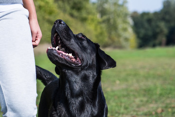 A woman with dog in the park.