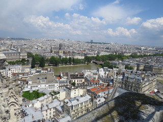 Fototapeta premium You fly over Paris! (The Vast Russia! Sergey, Bryansk.)