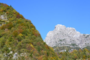 Parco delle Dolomiti Friulane