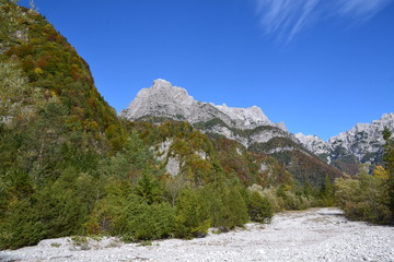 Fototapeta na wymiar Parco delle Dolomiti Friulane - greto del Cellina