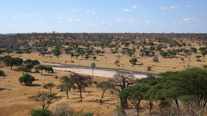 Safari Tarangire Nationalpark Tansania