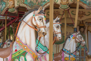 Colorful Carousel Horses in a Holiday Park, Merry-go-round Horse