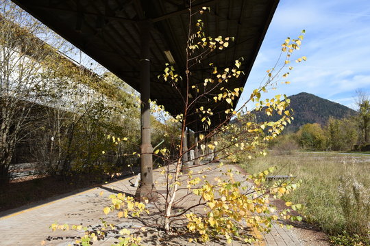 Kanaltal, Tarvis, Tarvisio, Udine, Friaul, Julisch-Venetien, Bahnhof, Lost Places, Lost, lostplaces, vergessen, aufgelassen, stillgelegt, verfallen, Bahnsteig, Bahntrasse, Radweg