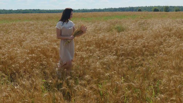 Dark-haired woman walks with bounch of wheat ears on a golden field