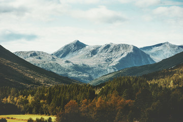 Mountains and forest Landscape in Norway aerial view scandinavian nature Travel wilderness