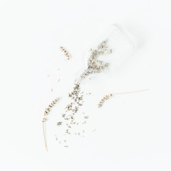 Bottle with lavender flowers isolated on white background. Flat lay, top view