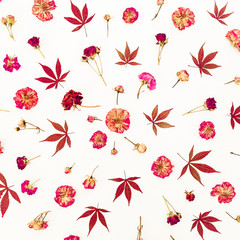 Fototapeta na wymiar Floral pattern of red leaves and dried roses with buds on white background. Flat lay, top view.