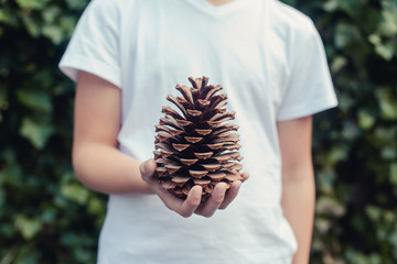 Closeup of the hand of a boy holding a big pinecone