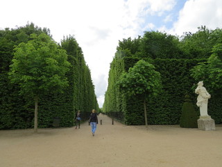 Fototapeta premium And again ..About France and Paris. May. Park. (The Vast Russia! Sergey, Bryansk.)