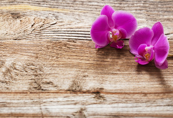 purple orchids on wooden background
