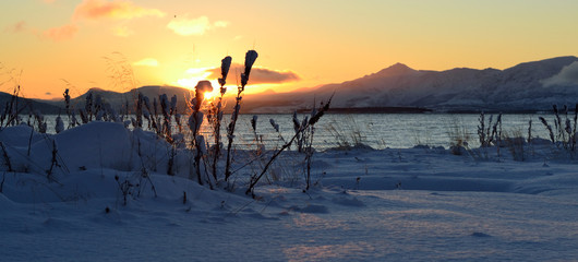 Fototapeta na wymiar First sun in the Arctic