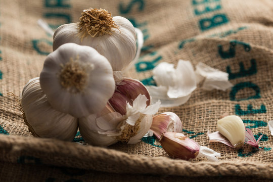 Garlic Bulbs