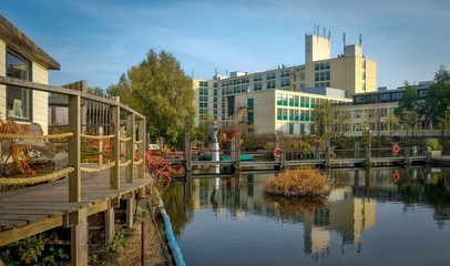 Fototapeta na wymiar Dutch landscape with water canals